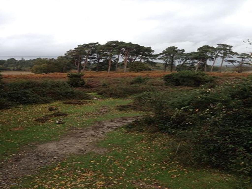 Auplands En-Suite Rooms Lymington Exteriör bild